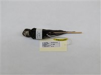 藏品(小雨燕)的圖片